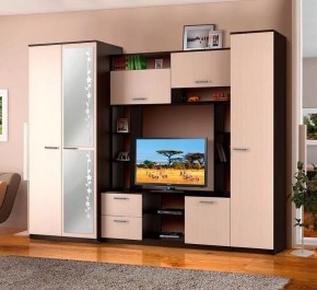 АЛЕКСАНДРА 10 Стенка в Каменске-Уральском - kamensk-uralskiy.ok-mebel.com | фото 2