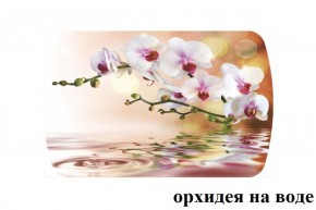 БОСТОН - 2 опоры Брифинг в Каменске-Уральском - kamensk-uralskiy.ok-mebel.com | фото 4