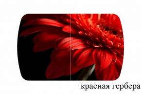 БОСТОН - 3 Стол раздвижной 1100/1420 опоры Триумф в Каменске-Уральском - kamensk-uralskiy.ok-mebel.com | фото 18