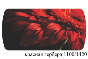 БОСТОН - 3 Стол раздвижной 1100/1420 опоры Триумф в Каменске-Уральском - kamensk-uralskiy.ok-mebel.com | фото 19