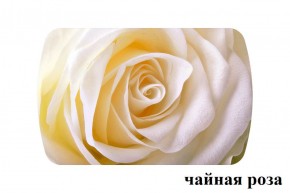 БОСТОН - 3 Стол раздвижной 1100/1420 опоры Триумф в Каменске-Уральском - kamensk-uralskiy.ok-mebel.com | фото 47