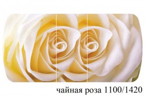 БОСТОН - 3 Стол раздвижной 1100/1420 опоры Триумф в Каменске-Уральском - kamensk-uralskiy.ok-mebel.com | фото 48