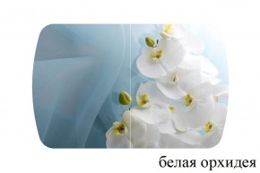 БОСТОН - 3 Стол раздвижной 1100/1420 опоры Триумф в Каменске-Уральском - kamensk-uralskiy.ok-mebel.com | фото 8