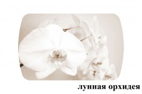 БОСТОН опоры Брифинг в Каменске-Уральском - kamensk-uralskiy.ok-mebel.com | фото 18