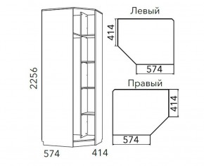 Детская Фанк Шкаф угловой Левый/Правый НМ 013.04-02 М в Каменске-Уральском - kamensk-uralskiy.ok-mebel.com | фото 3