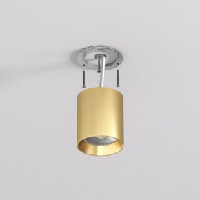 DK2610-SB Накладной светильник SHINE TUBE со светодиодом, D70*H80, IP20, 3000К, 10W, RA?90, сатинированная латунь, алюминий в Каменске-Уральском - kamensk-uralskiy.ok-mebel.com | фото 3