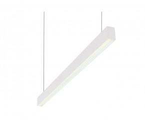 DK9124-WH Линейный светильник 30W 1250mm 4000K, белый в Каменске-Уральском - kamensk-uralskiy.ok-mebel.com | фото