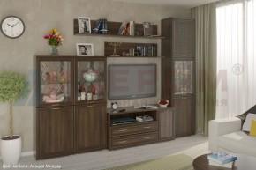 Гостиная Карина Композиция 22 (Акация Молдау) в Каменске-Уральском - kamensk-uralskiy.ok-mebel.com | фото