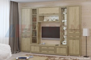 Гостиная Карина Композиция 3 (Гикори Джексон светлый) в Каменске-Уральском - kamensk-uralskiy.ok-mebel.com | фото