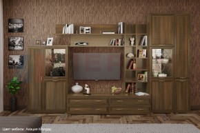 Гостиная Карина Композиция 5 (Акация Молдау) в Каменске-Уральском - kamensk-uralskiy.ok-mebel.com | фото