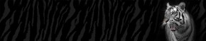 Кухонный фартук Фауна 055 МДФ матовый (3000) Fauna в Каменске-Уральском - kamensk-uralskiy.ok-mebel.com | фото