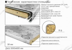 Кухонный фартук со столешницей (А-01) в едином стиле (3050 мм) в Каменске-Уральском - kamensk-uralskiy.ok-mebel.com | фото 6