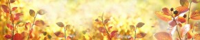 Кухонный фартук Цветы 318 МДФ матовый (3000) Flowers в Каменске-Уральском - kamensk-uralskiy.ok-mebel.com | фото