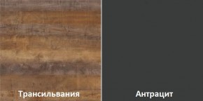 Кухонный гарнитур угловой Трансильвания 2600х1600 мм (Стол. 26 мм) в Каменске-Уральском - kamensk-uralskiy.ok-mebel.com | фото 3