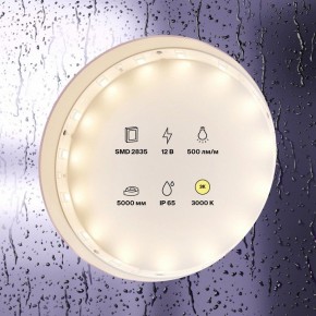 Лента светодиодная Maytoni Led strip 10105 в Каменске-Уральском - kamensk-uralskiy.ok-mebel.com | фото 2
