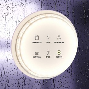 Лента светодиодная Maytoni Led strip 10118 в Каменске-Уральском - kamensk-uralskiy.ok-mebel.com | фото 2