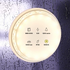 Лента светодиодная Maytoni Led strip 10131 в Каменске-Уральском - kamensk-uralskiy.ok-mebel.com | фото 3