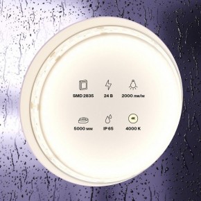 Лента светодиодная Maytoni Led strip 10158 в Каменске-Уральском - kamensk-uralskiy.ok-mebel.com | фото 2