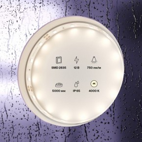 Лента светодиодная Maytoni Led strip 20005 в Каменске-Уральском - kamensk-uralskiy.ok-mebel.com | фото 2