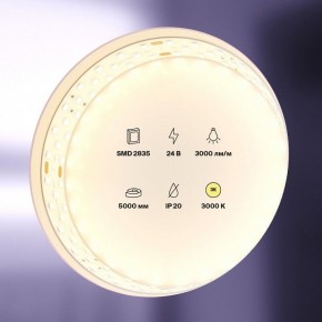 Лента светодиодная Maytoni Led strip 20031 в Каменске-Уральском - kamensk-uralskiy.ok-mebel.com | фото 2