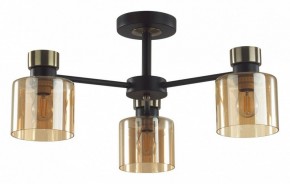Люстра на штанге Lumion ARLIN 5643/3C в Каменске-Уральском - kamensk-uralskiy.ok-mebel.com | фото