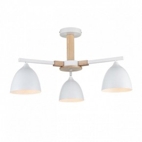 Люстра на штанге Lumion Colange 8095/3C в Каменске-Уральском - kamensk-uralskiy.ok-mebel.com | фото 2