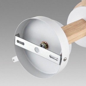 Люстра на штанге Lumion Colange 8095/3C в Каменске-Уральском - kamensk-uralskiy.ok-mebel.com | фото 6