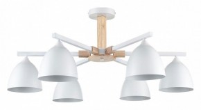 Люстра на штанге Lumion Colange 8095/6C в Каменске-Уральском - kamensk-uralskiy.ok-mebel.com | фото