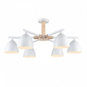 Люстра на штанге Lumion Colange 8095/6C в Каменске-Уральском - kamensk-uralskiy.ok-mebel.com | фото 2
