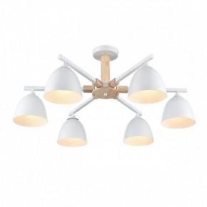 Люстра на штанге Lumion Colange 8095/6C в Каменске-Уральском - kamensk-uralskiy.ok-mebel.com | фото 3