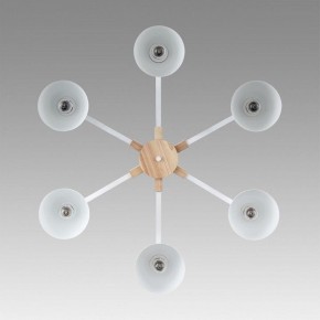 Люстра на штанге Lumion Colange 8095/6C в Каменске-Уральском - kamensk-uralskiy.ok-mebel.com | фото 4