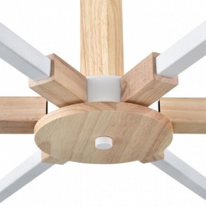 Люстра на штанге Lumion Colange 8095/6C в Каменске-Уральском - kamensk-uralskiy.ok-mebel.com | фото 7