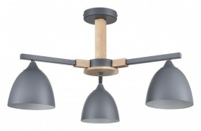 Люстра на штанге Lumion Colange 8096/3C в Каменске-Уральском - kamensk-uralskiy.ok-mebel.com | фото