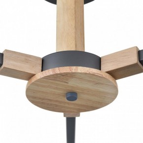 Люстра на штанге Lumion Colange 8096/3C в Каменске-Уральском - kamensk-uralskiy.ok-mebel.com | фото 7