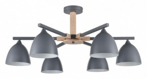 Люстра на штанге Lumion Colange 8096/6C в Каменске-Уральском - kamensk-uralskiy.ok-mebel.com | фото