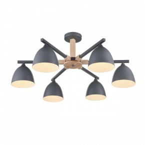 Люстра на штанге Lumion Colange 8096/6C в Каменске-Уральском - kamensk-uralskiy.ok-mebel.com | фото 3