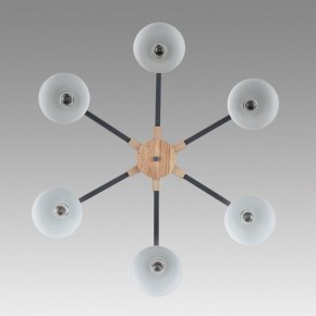 Люстра на штанге Lumion Colange 8096/6C в Каменске-Уральском - kamensk-uralskiy.ok-mebel.com | фото 4