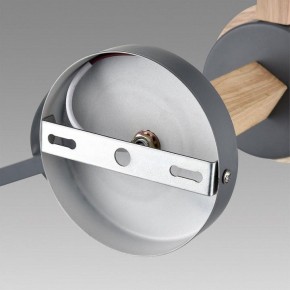 Люстра на штанге Lumion Colange 8096/6C в Каменске-Уральском - kamensk-uralskiy.ok-mebel.com | фото 6
