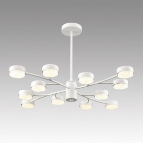 Люстра на штанге Lumion TORINA 8265/12 в Каменске-Уральском - kamensk-uralskiy.ok-mebel.com | фото 3