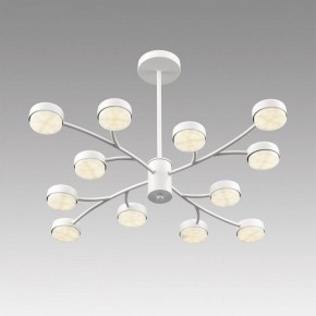 Люстра на штанге Lumion TORINA 8265/12 в Каменске-Уральском - kamensk-uralskiy.ok-mebel.com | фото 5