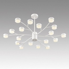 Люстра на штанге Lumion TORINA 8265/18 в Каменске-Уральском - kamensk-uralskiy.ok-mebel.com | фото 5