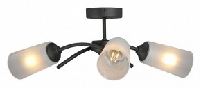 Люстра на штанге Vitaluce V2850 V2850-1/3PL в Каменске-Уральском - kamensk-uralskiy.ok-mebel.com | фото
