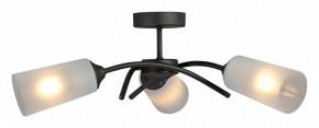 Люстра на штанге Vitaluce V2850 V2850-1/3PL в Каменске-Уральском - kamensk-uralskiy.ok-mebel.com | фото 3
