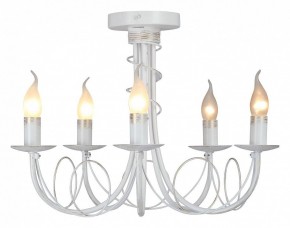 Люстра на штанге Vitaluce V3035 V3035-0/5PL в Каменске-Уральском - kamensk-uralskiy.ok-mebel.com | фото 2