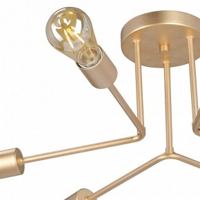 Люстра на штанге Vitaluce V3071 V3071-8/6PL в Каменске-Уральском - kamensk-uralskiy.ok-mebel.com | фото 6
