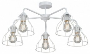 Люстра на штанге Vitaluce V3102 V3102-0/5PL в Каменске-Уральском - kamensk-uralskiy.ok-mebel.com | фото