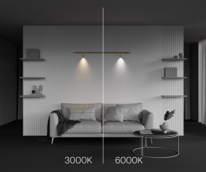 Модульный светильник Maytoni Focus LED C102CL-3W3-6K-BS в Каменске-Уральском - kamensk-uralskiy.ok-mebel.com | фото 4