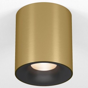 Накладной светильник Elektrostandard Primo 25116/LED в Каменске-Уральском - kamensk-uralskiy.ok-mebel.com | фото