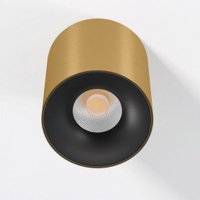 Накладной светильник Elektrostandard Primo 25116/LED в Каменске-Уральском - kamensk-uralskiy.ok-mebel.com | фото