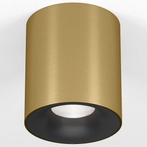 Накладной светильник Elektrostandard Primo 25116/LED в Каменске-Уральском - kamensk-uralskiy.ok-mebel.com | фото 2